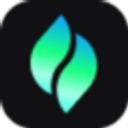 Verdent