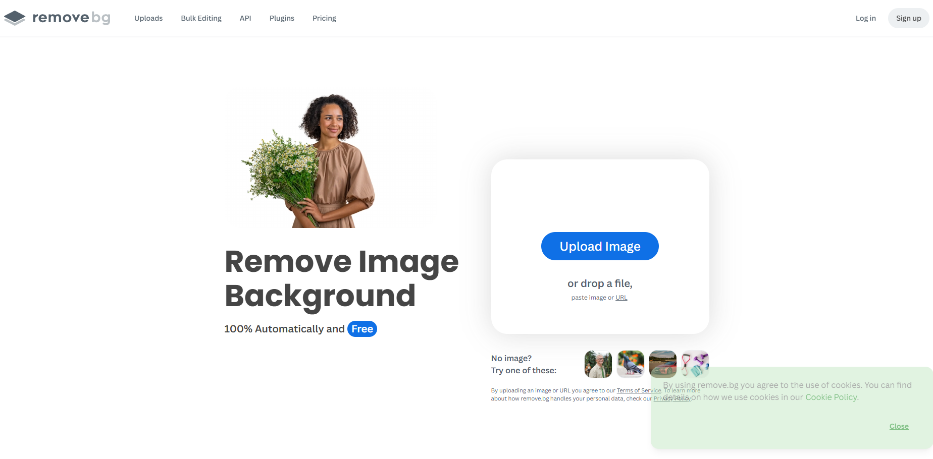 Remove-BG.AI