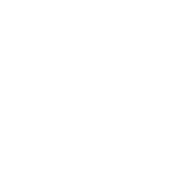 Zyler AI