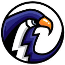 Thunderbirds