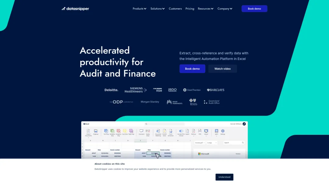 DataSnipper