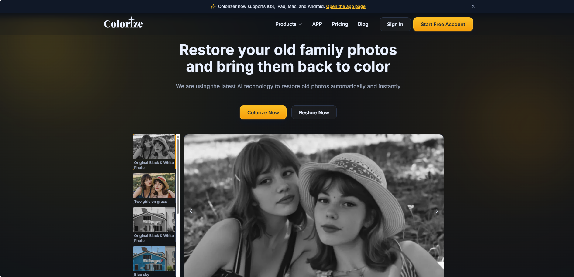 Imagecolorizer