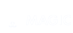Magic Travel