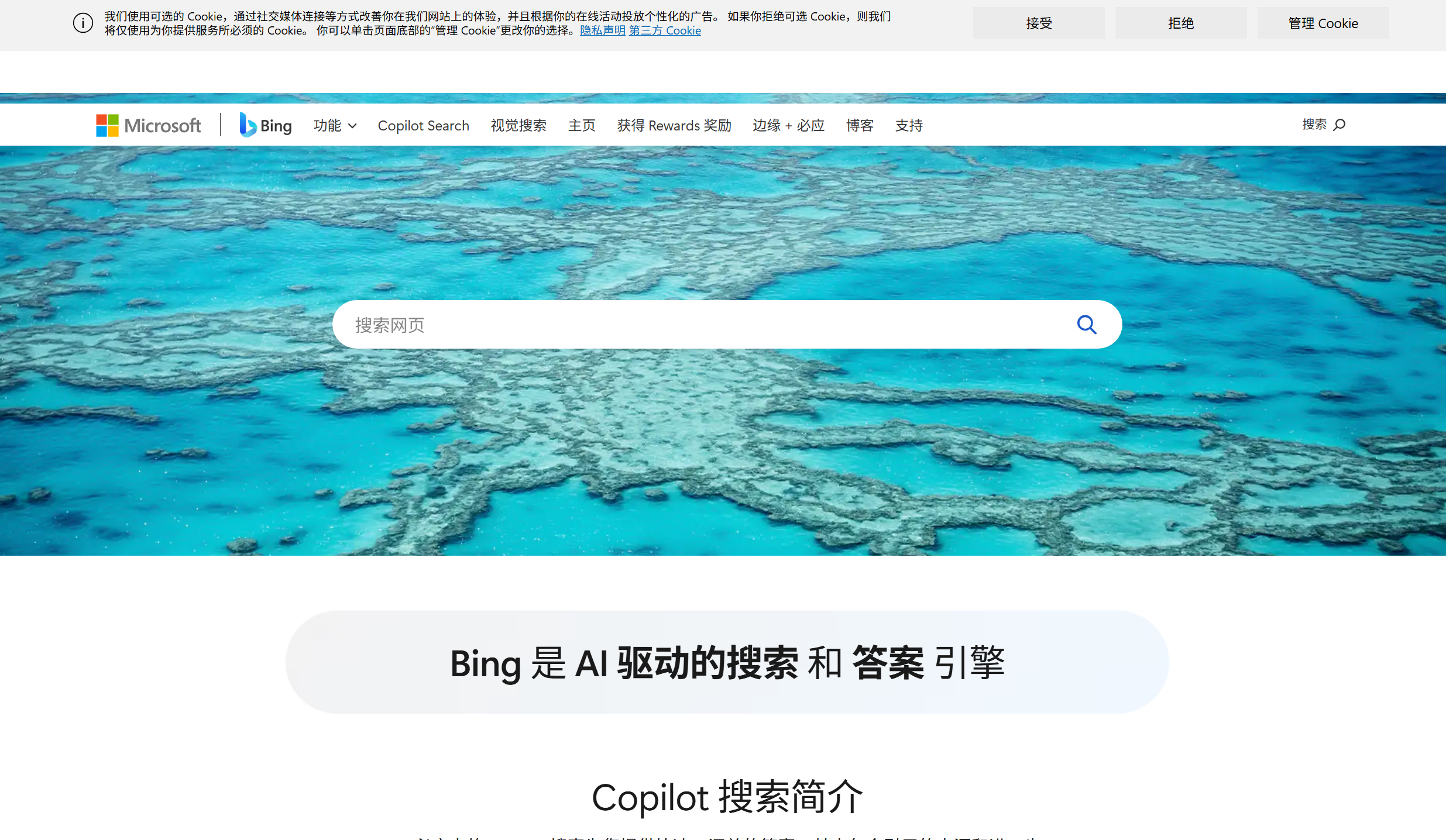 Microsoft Bing