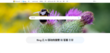Microsoft Bing